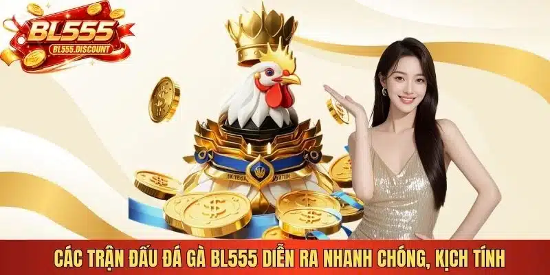 Các trận đấu đá gà BL555 diễn ra nhanh chóng, kịch tính