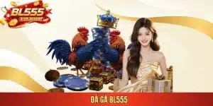 đá gà bl555
