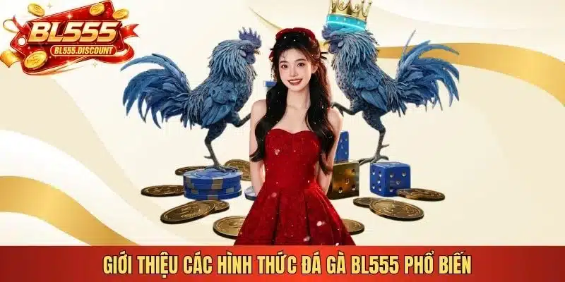 Giới thiệu các hình thức đá gà BL555 phổ biến