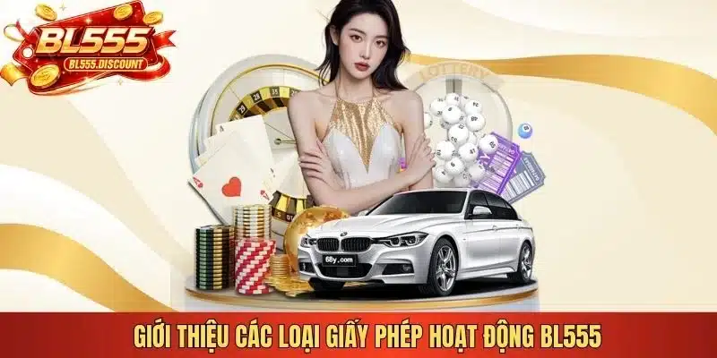Giới thiệu các loại giấy phép hoạt động BL555
