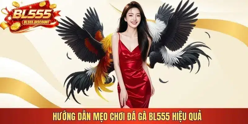 Hướng dẫn mẹo chơi đá gà BL555 hiệu quả